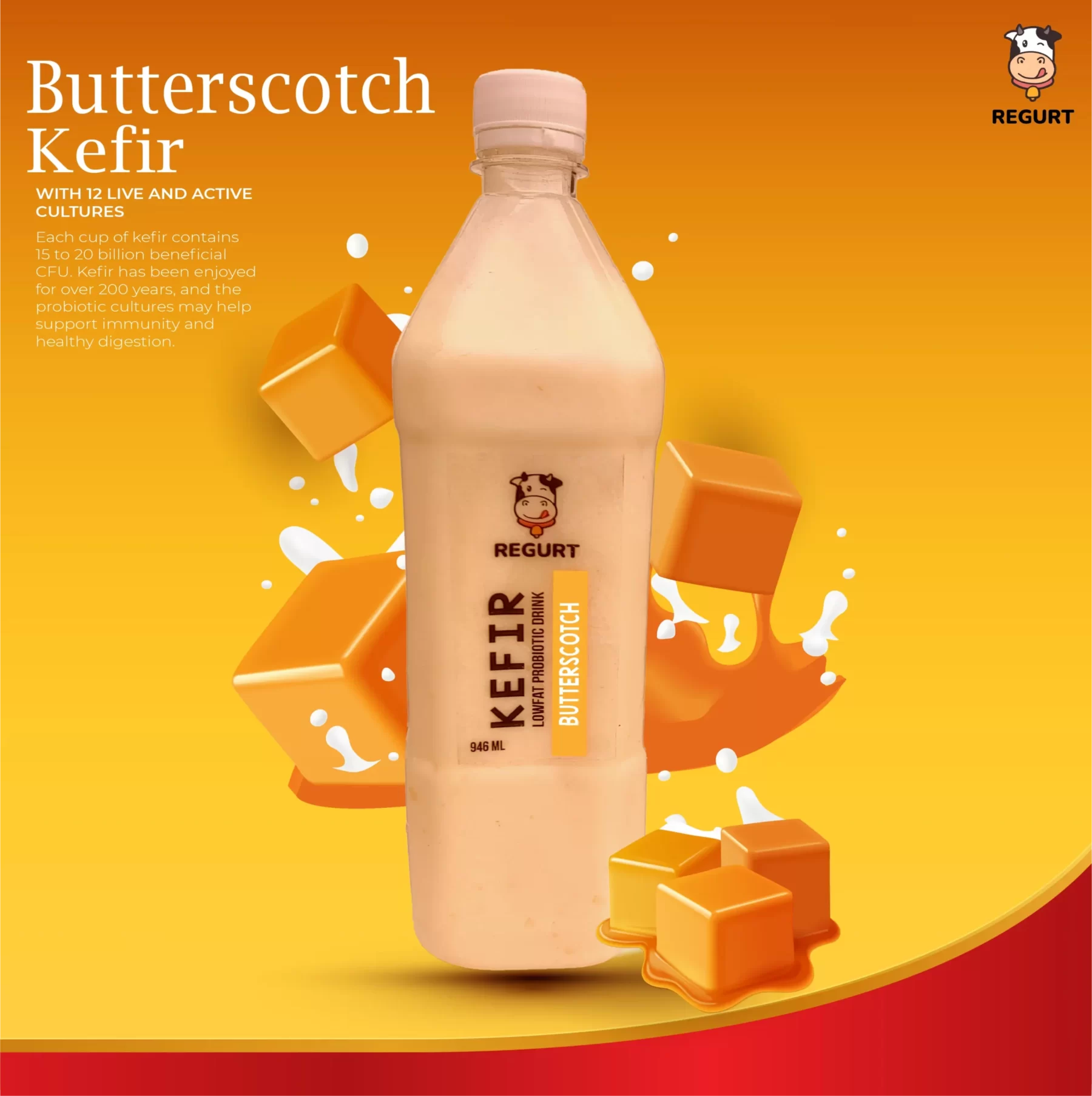 Butterscotch Milk Kefir in Delhi NCR- REGURT