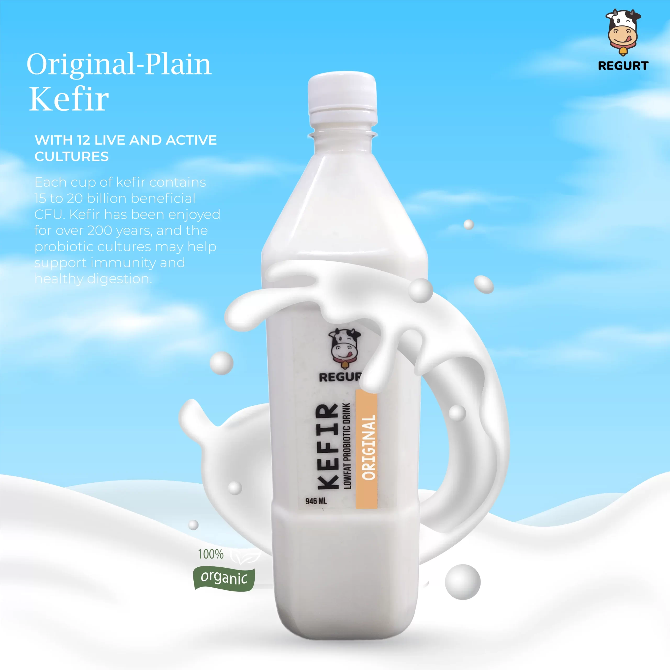 Plain Original Milk Kefir in Delhi NCR- REGURT