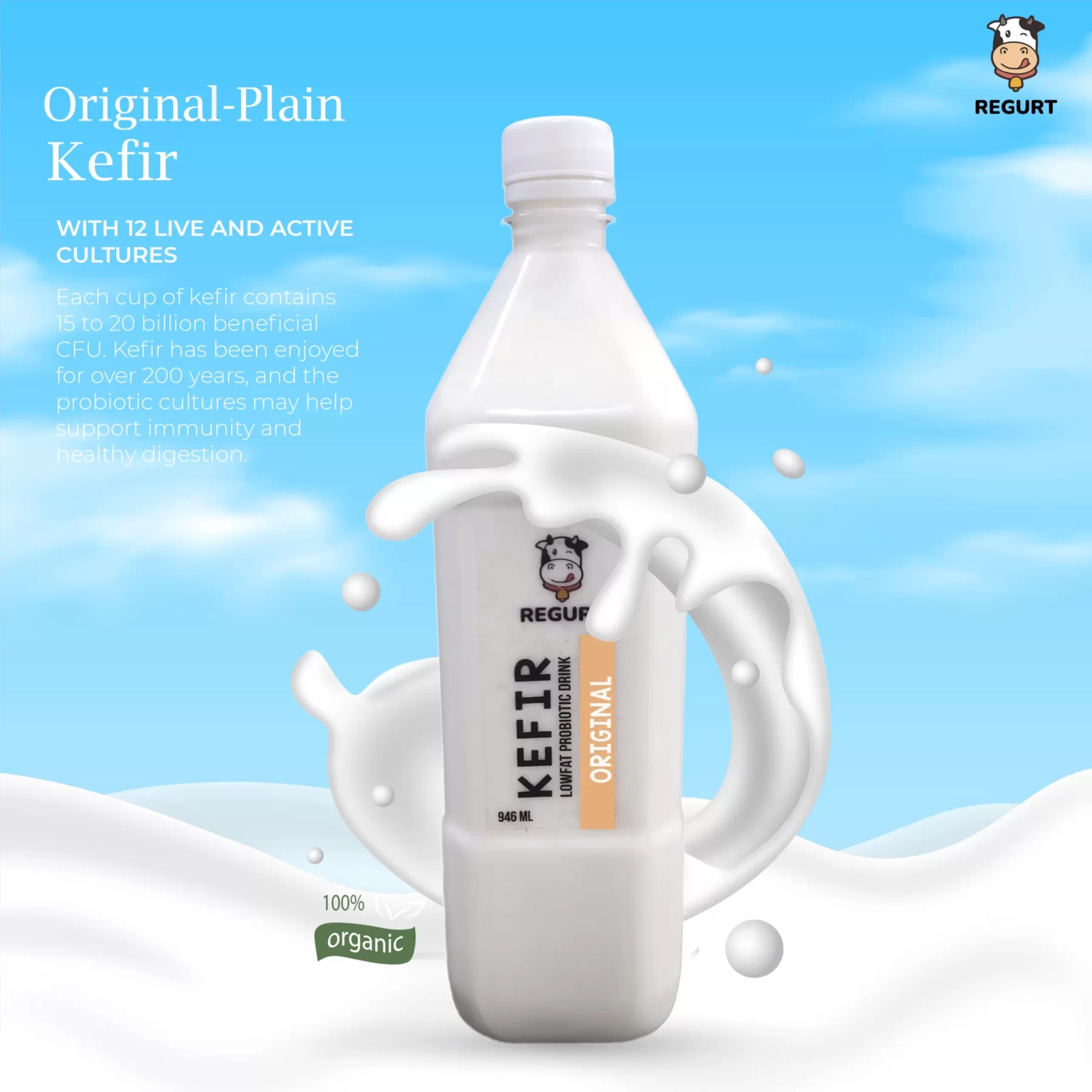 Plain Original Milk Kefir in Delhi NCR- REGURT